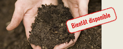 Expertise compost